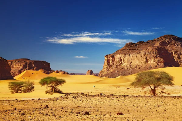 撒哈拉沙漠，tadrart 阿尔及利亚 — 图库照片
