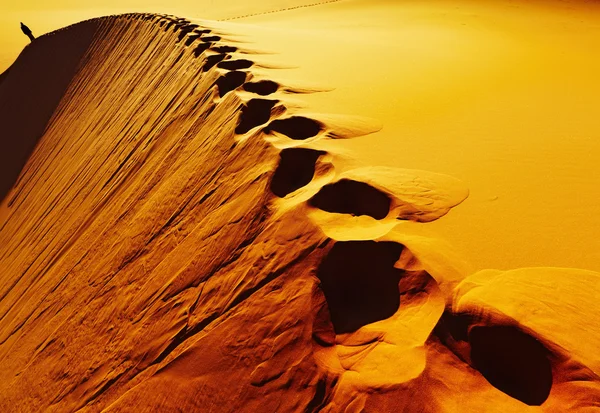 撒哈拉沙漠 阿尔及利亚的脚印 — 图库照片