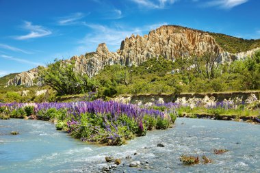 Clay Cliffs Scenic Reserve clipart