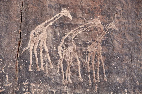 Antiguo grabado rupestre en el desierto del Sahara —  Fotos de Stock