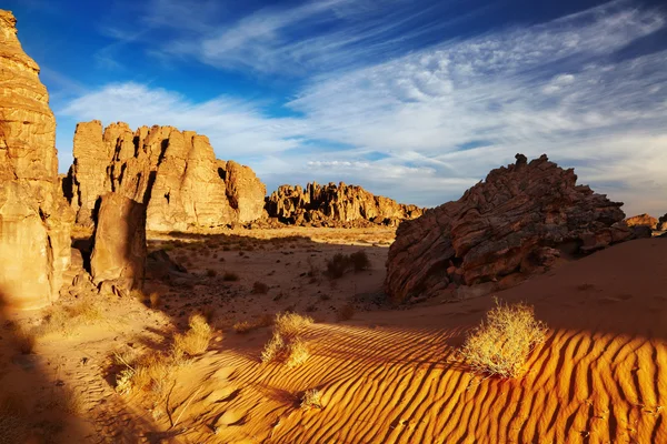 撒哈拉沙漠 塔西里岩画阿尔及利亚 — 图库照片