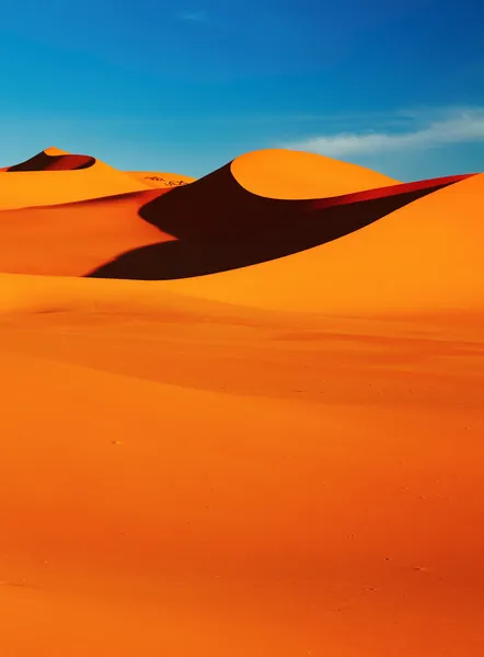 Sahara désert — Photo