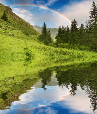 Rainbow over forest clipart