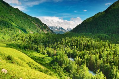 Beautiful valley in Altai mountains clipart