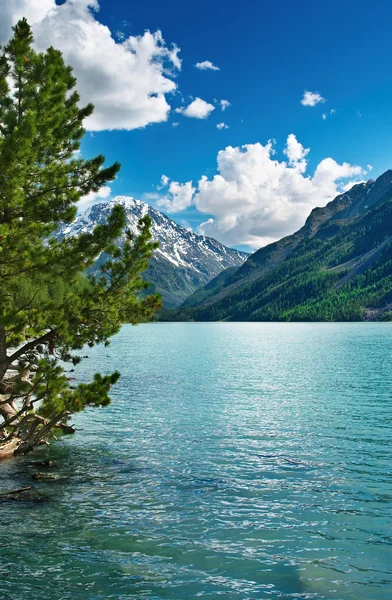 アルタイ山脈の美しいターコイズ ブルーの湖 — ストック写真