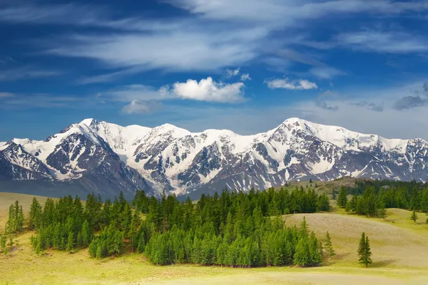 Krajobraz Lasem Śnieżnymi Górami — Zdjęcie stockowe