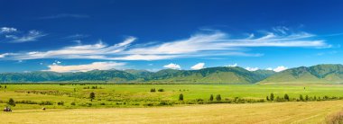 Mountain panorama with green field and blue sky clipart