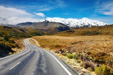 Road to Mount Ruapehu, New Zealand clipart