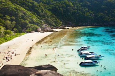 Tropical beach, Similan Islands, Andaman Sea,Thailand clipart