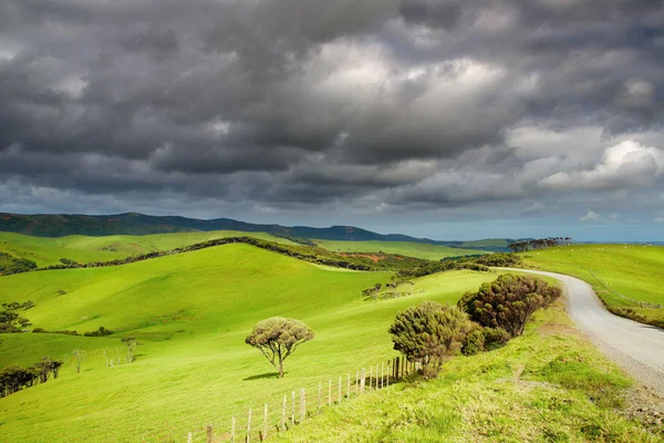 Nowa Zelandia krajobraz — Zdjęcie stockowe