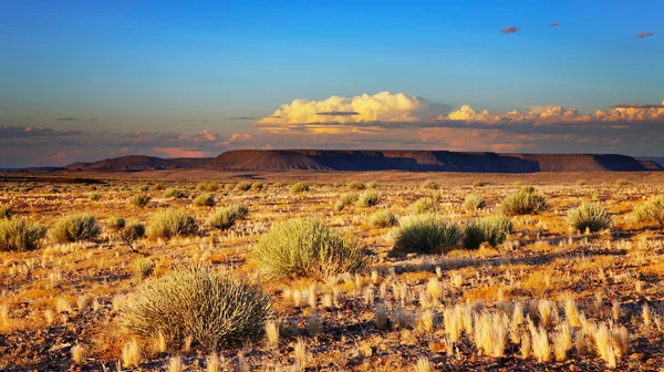 Zonsondergang in de kalahari-woestijn — Stockfoto