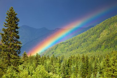 Rainbow over forest clipart