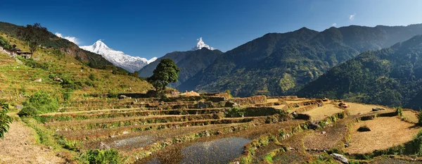Гималайский пейзаж — стоковое фото