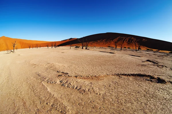 나 미 브 사막, sossusvlei, 나미비아 — 스톡 사진