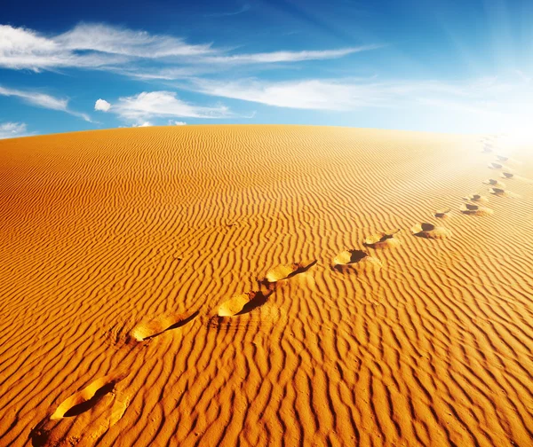 Footprints on sand dune — Stock Photo, Image