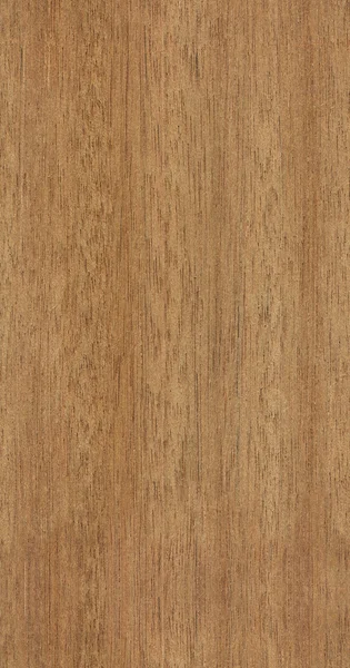 Бесшовная текстура тикового дерева — стоковое фото