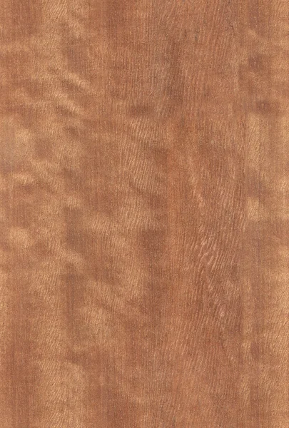 Textura de madera de nuez — Foto de Stock