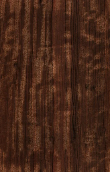 Naadloze eucalyptus textuur — Stockfoto
