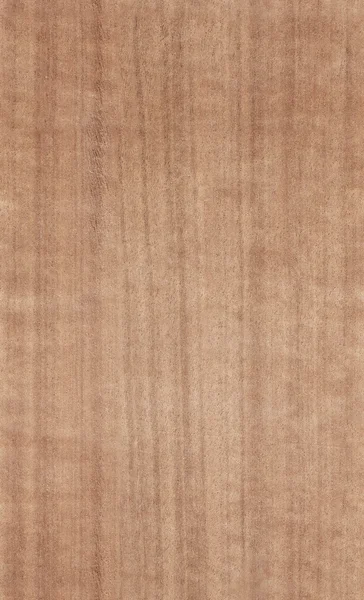 Textura em madeira de noz — Fotografia de Stock