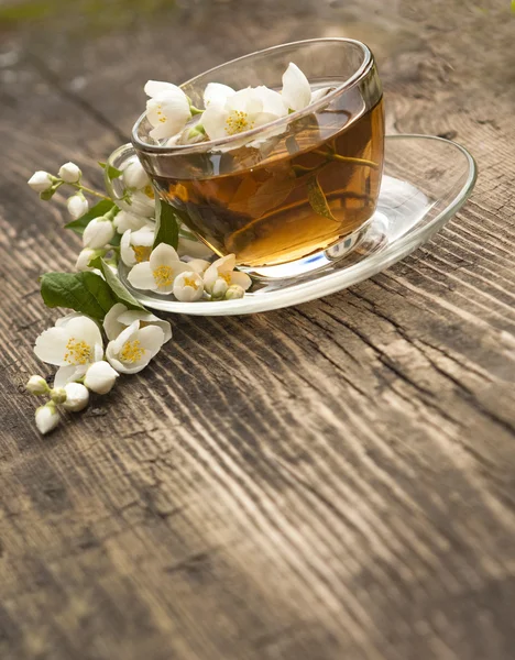 Csésze tea jasmine — Stock Fotó