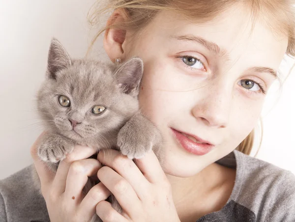 British kitten rare color (lilac) and girl — Stock Photo, Image