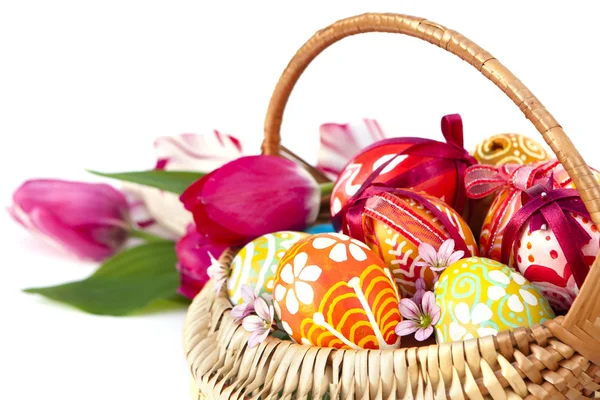 Húsvéti tojás és a tilips — Stock Fotó