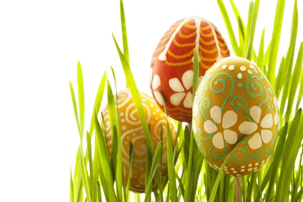 复活节彩蛋和绿草 — 图库照片