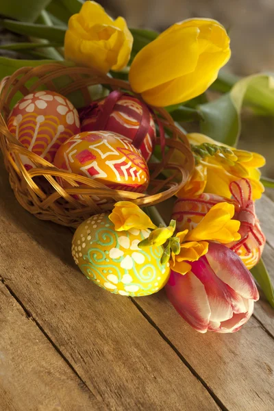 Easter eggs and tilips — Stock Photo, Image