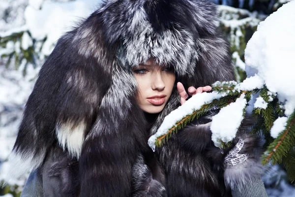 Vintern Drottningen — Stockfoto