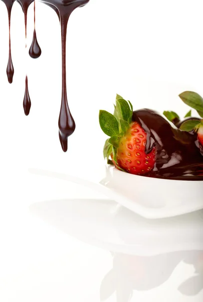 Morango Chocolate — Fotografia de Stock