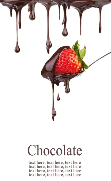 Erdbeere in Schokolade Stockbild