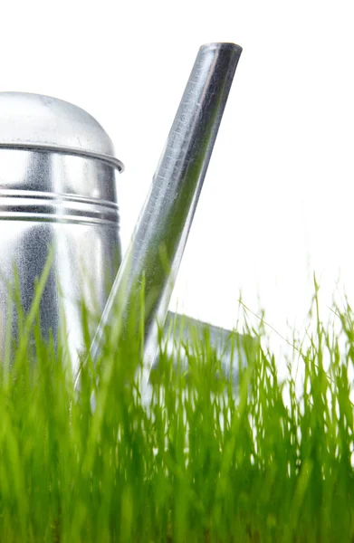Vattenkanna med gräs och trädgård verktyg på vit — Stockfoto