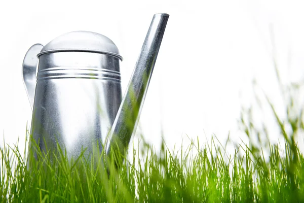 Gieter met gras en tuin tools op wit — Stockfoto