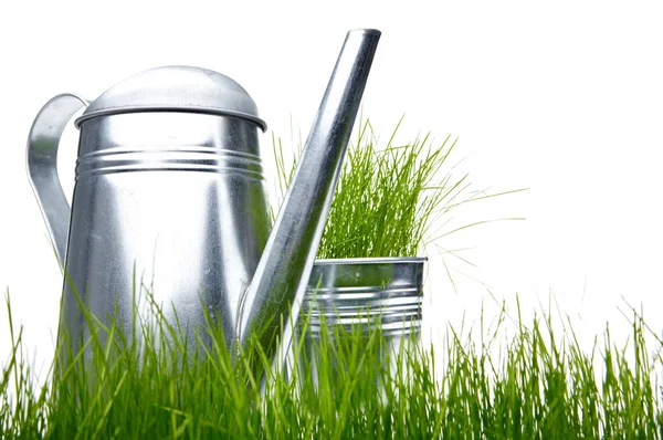 Watering can with grass and garden tools on white — Stock Photo, Image