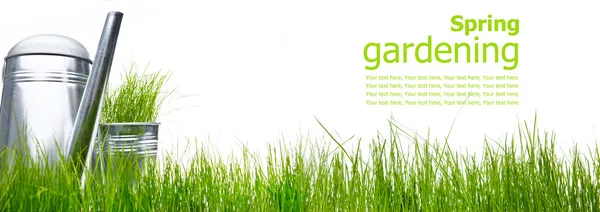 Gieter met gras en tuin tools op wit — Stockfoto
