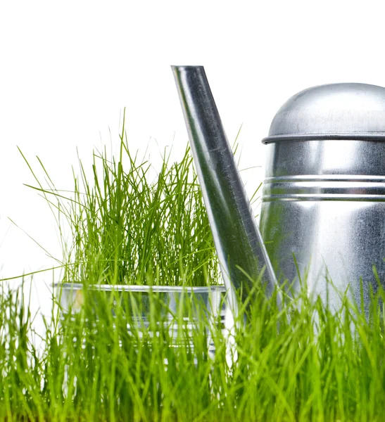 Gießkanne im Gras mit weißem Hintergrund — Stockfoto