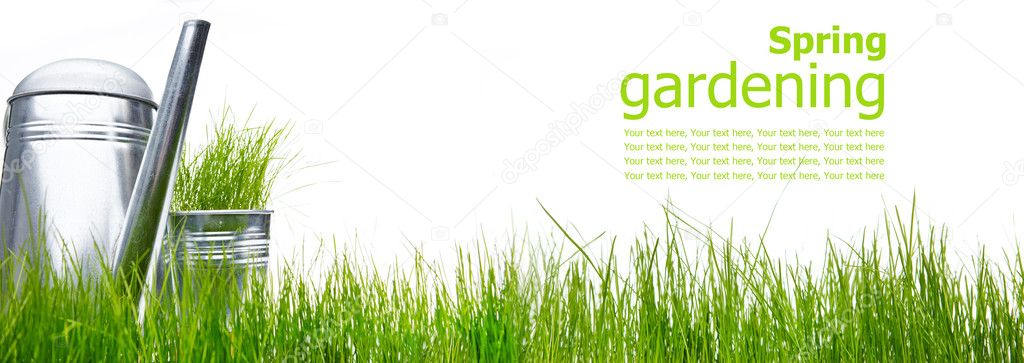 Watering can with grass and garden tools on white