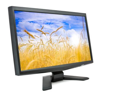 Computer monitor. clipart