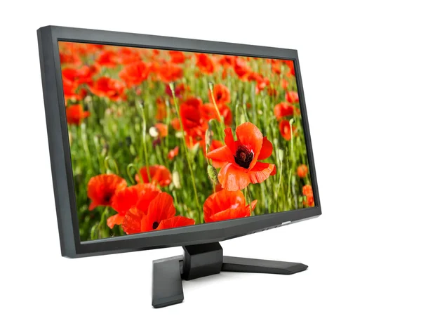 Monitor and poppies. — Stock Photo, Image
