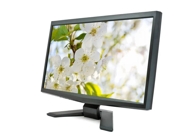 Monitor and cherry flowers. — Stock Photo, Image