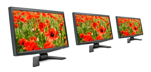 Monitors and poppies. — Stock Photo, Image