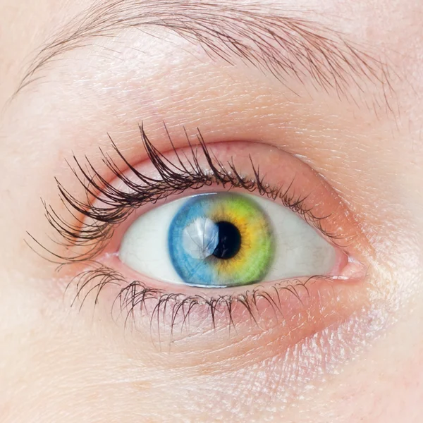 Kleurrijke menselijk oog. — Stockfoto