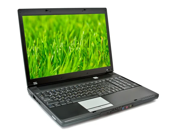 Laptop with grass on screen — Stok fotoğraf