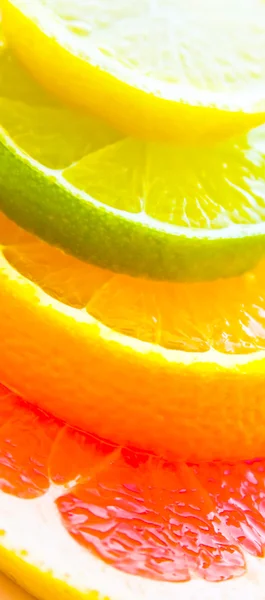 Blandade Citrusfrukter — Stockfoto