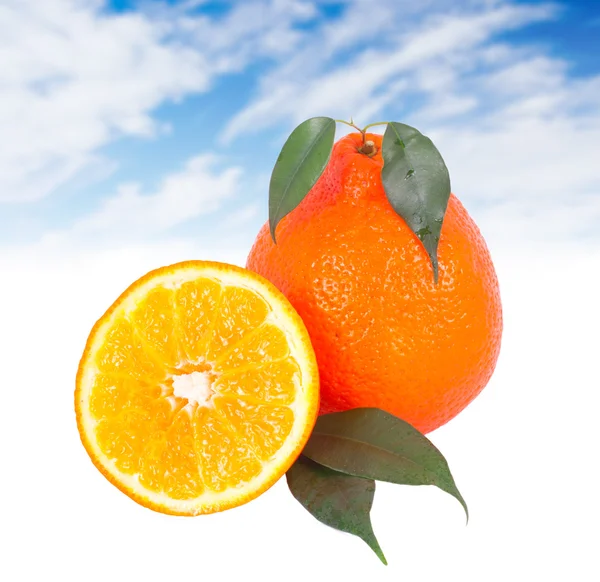 Čerstvý pomerančový. — Stock fotografie