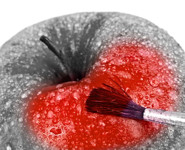 stock image Red apple and brush.