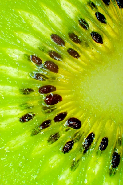 Detail kiwi — Stock fotografie