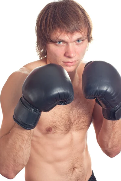 Boxer na bílém pozadí — Stock fotografie