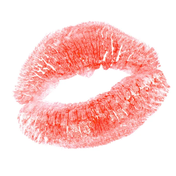 Φιλί σε λευκό — Φωτογραφία Αρχείου
