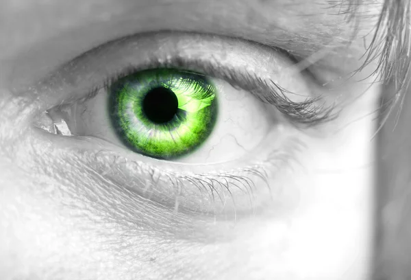 Зеленый глаз крупным планом — стоковое фото